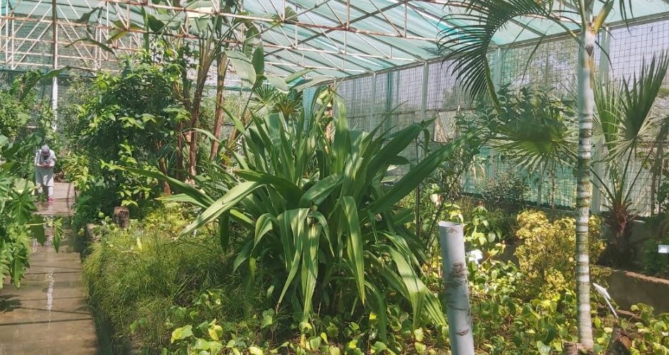 Karachi University Botanical Garden, Karachi, Pakistan, Pakistan